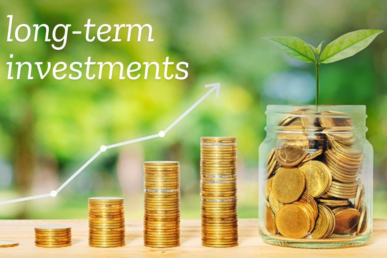 What is Long-Term Investment?
